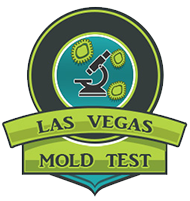 Las Vegas Mold Test home