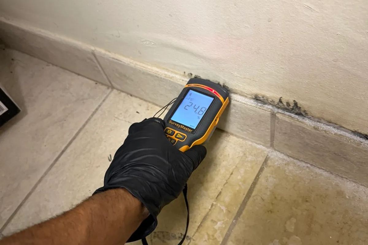 Moisture meter reading 24.8% at a moldy baseboard