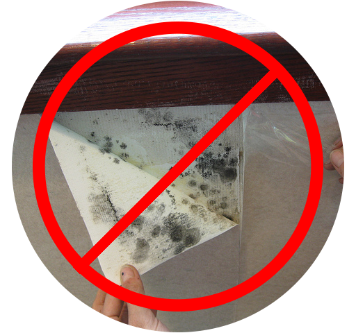 Protect Your Home From Mold